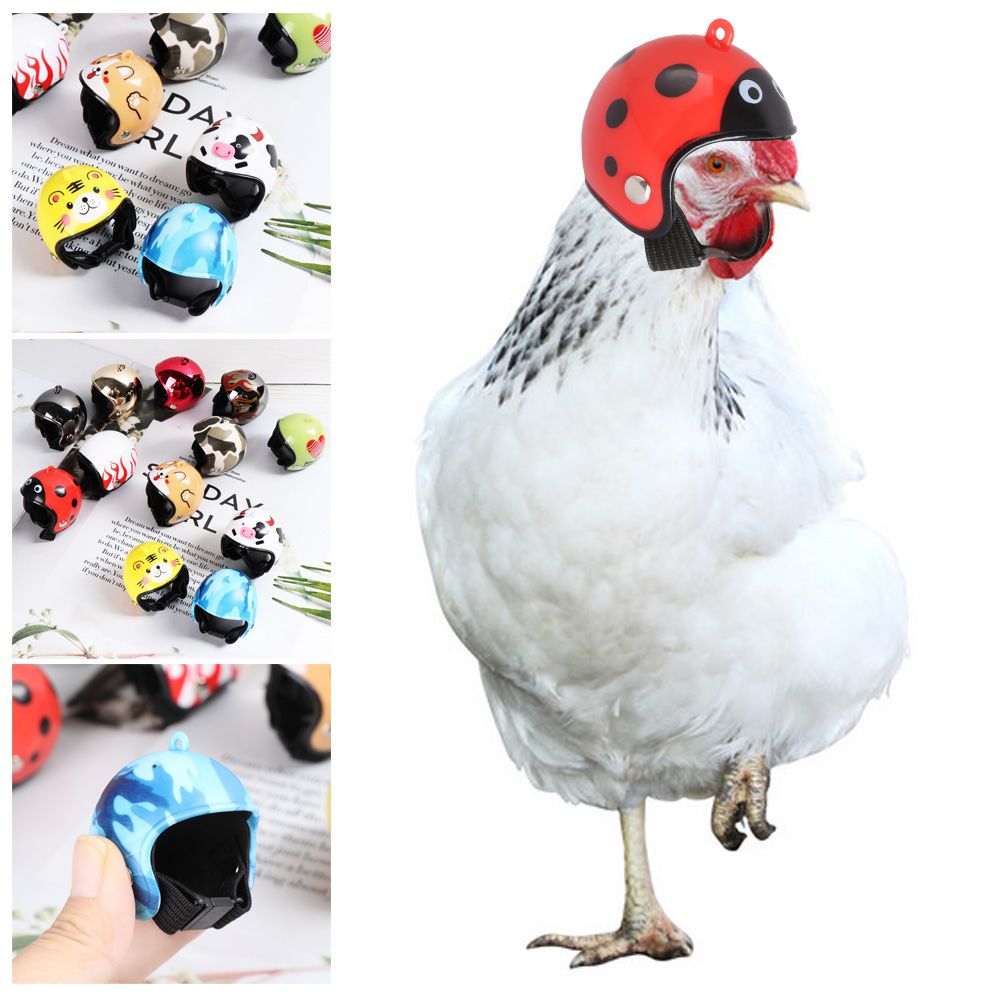 Pet X Supplies & Tack - ABS Funny Pet Supplies Pet Protective