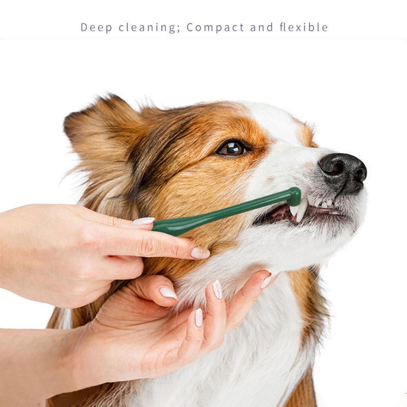 Micro Head Dog Cat Toothbrush  - Pet Supplies Nz recension och pris