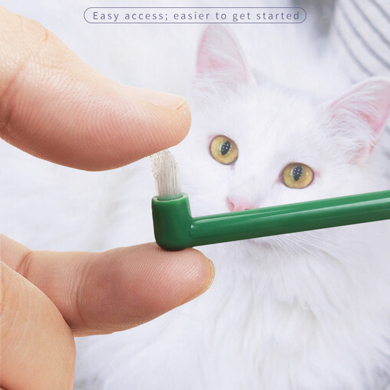 Micro Head Dog Cat Toothbrush  - Pet Supplies Nz recension och pris