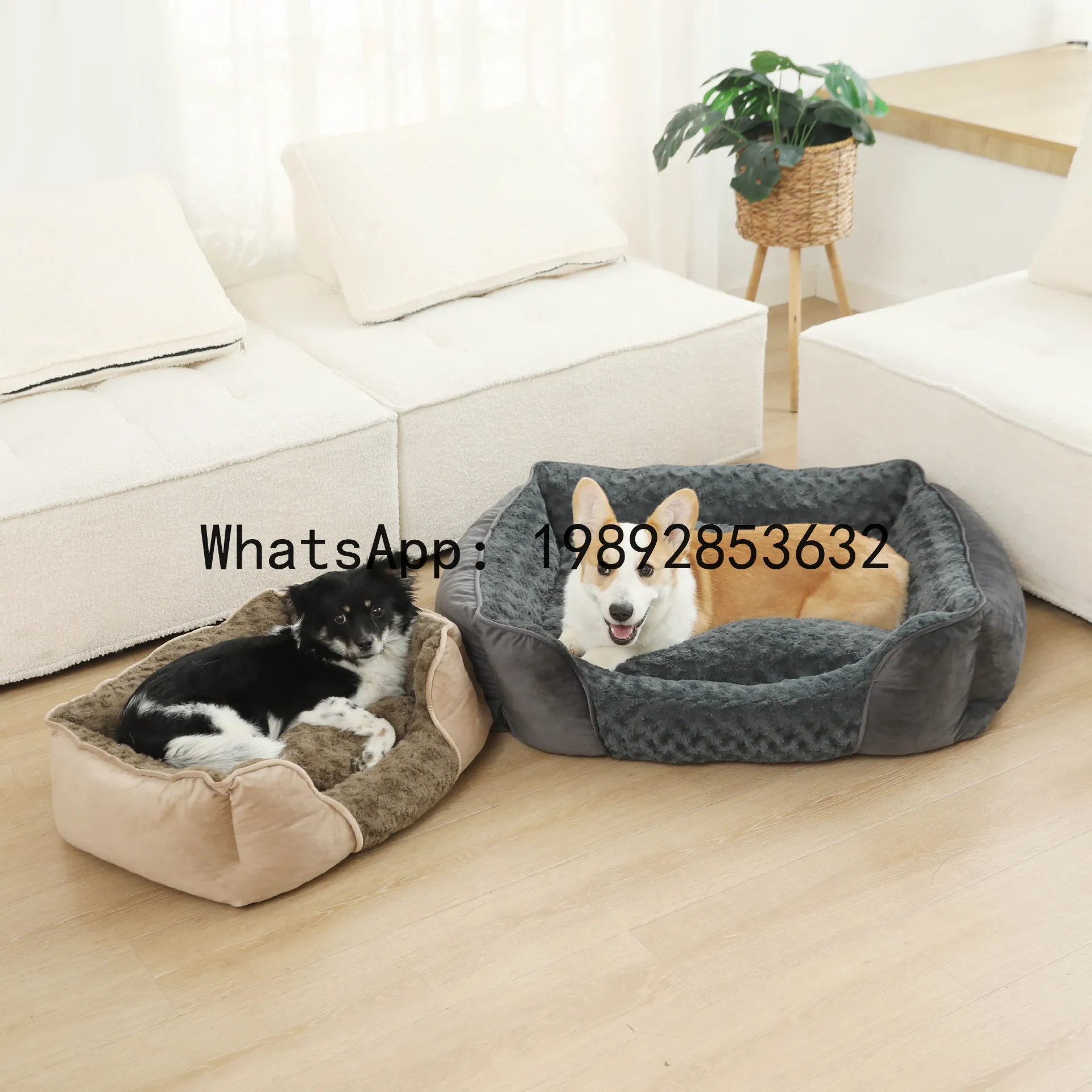 X cat house semi-enclosed dog  - Pet X Supplies & Tack recension och pris