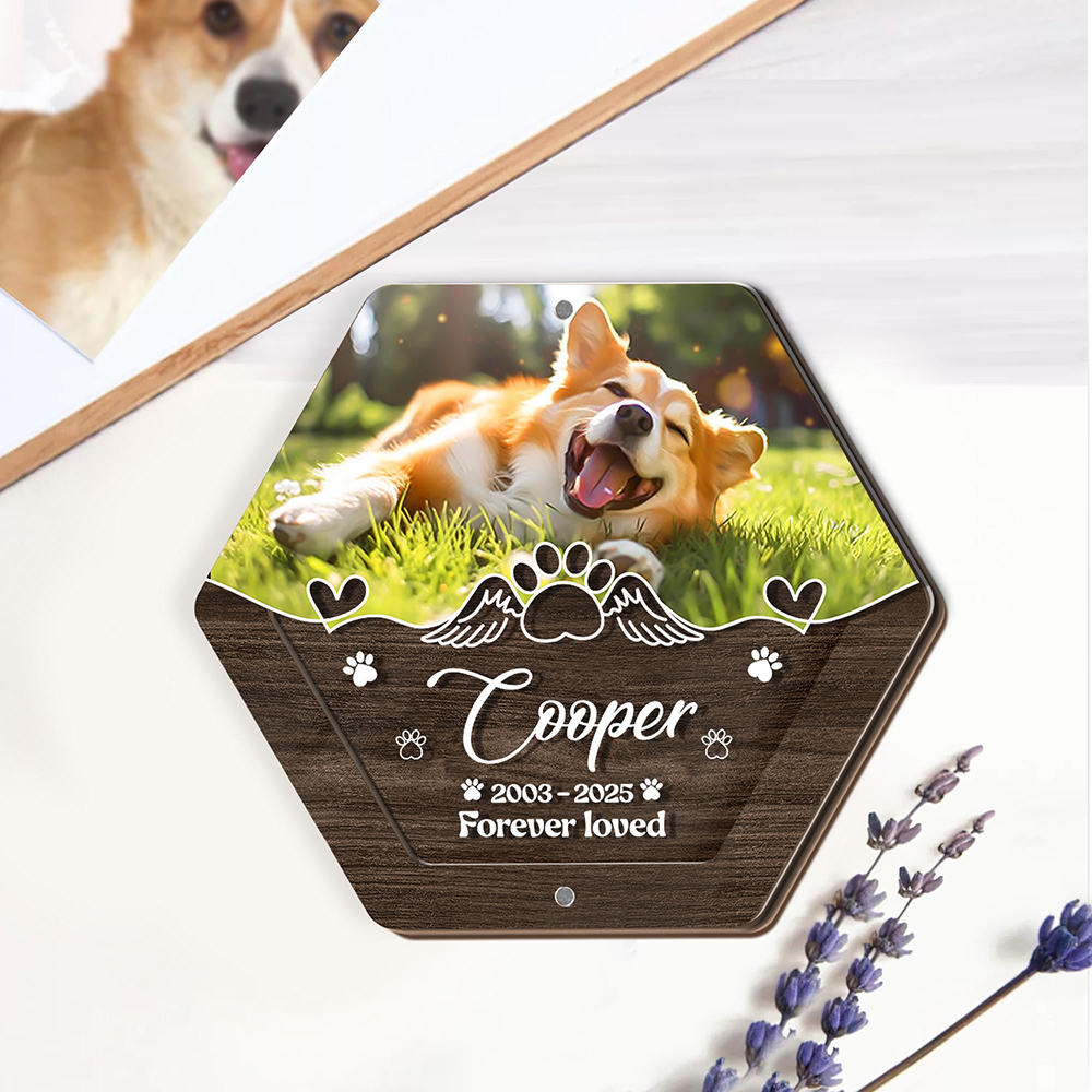Personalized Name Wooden Carvi - Pet Supplies Nz recension och pris