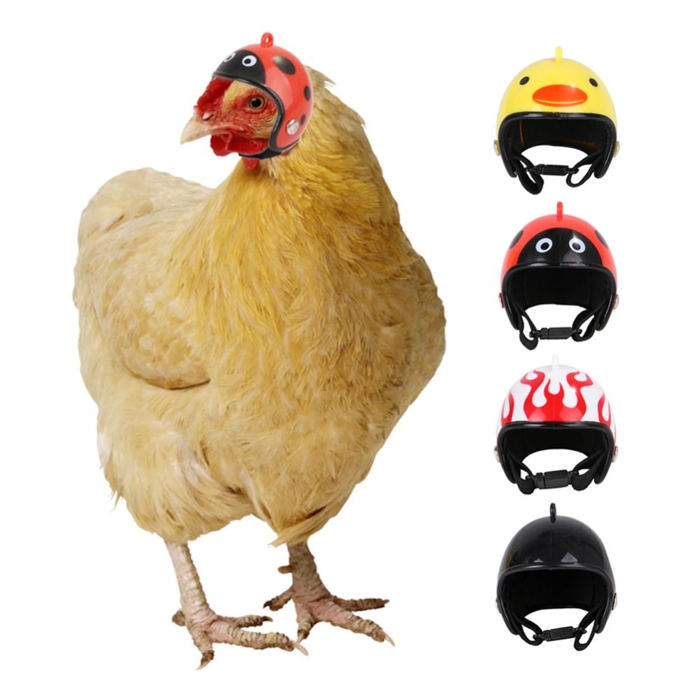 ABS Pet Supplies Funny Pet Pro - Pet X Supplies & Tack recension och pris