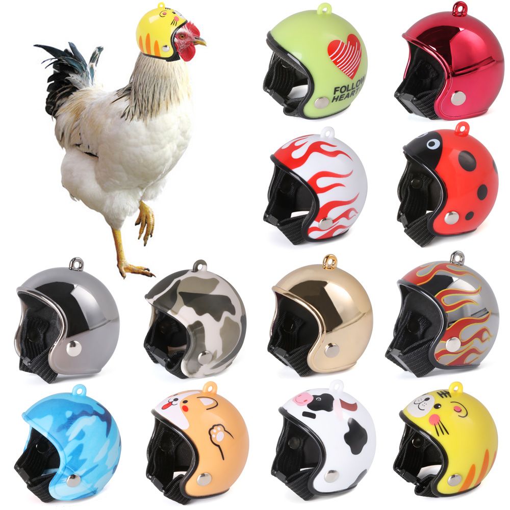 ABS Pet Supplies Funny Pet Pro - Pet X Supplies & Tack recension och pris